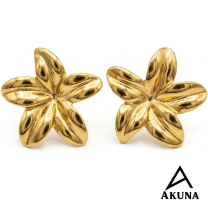 AKUNA Gold Flower Stud Earrings for Women | Stylish Star Shape Earrings | Lightweight Party Wear earring | Anti Tarnish